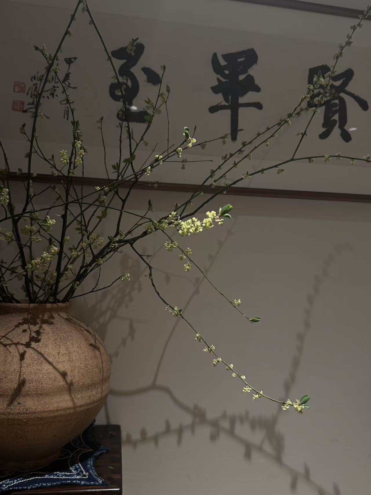 雅致环境